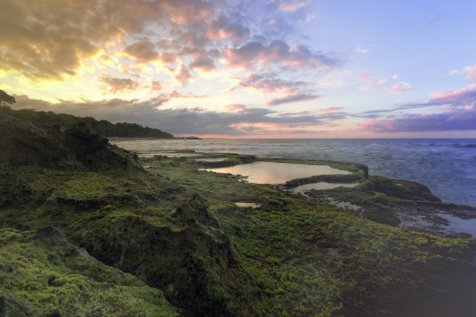Mystical Ocean: A Captivating Acrylic Print of Moss on Rocks and a Sunset Shrouded in Sea Fog