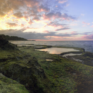 Mystical Ocean: A Captivating Acrylic Print of Moss on Rocks and a Sunset Shrouded in Sea Fog