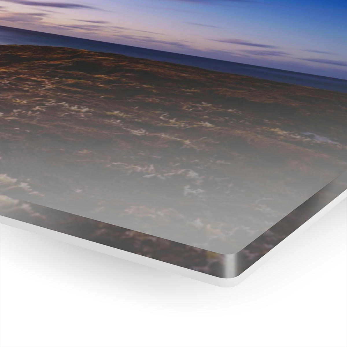 78310-27.jpg Coastal Charm: Sea Moss on Rocks and a Tranquil Matte Ocean Surface are Captured in this Breathtaking Acrylic Print