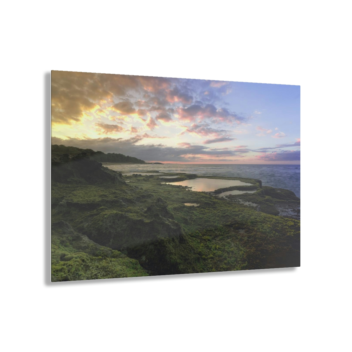 Mystical Ocean: A Captivating Acrylic Print of Moss on Rocks and a Sunset Shrouded in Sea Fog