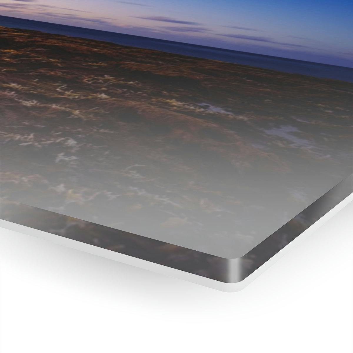 78311-27.jpg Coastal Charm: Sea Moss on Rocks and a Tranquil Matte Ocean Surface are Captured in this Breathtaking Acrylic Print