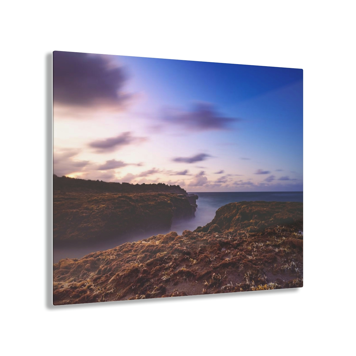 78312-25.jpg Coastal Charm: Sea Moss on Rocks and a Tranquil Matte Ocean Surface are Captured in this Breathtaking Acrylic Print