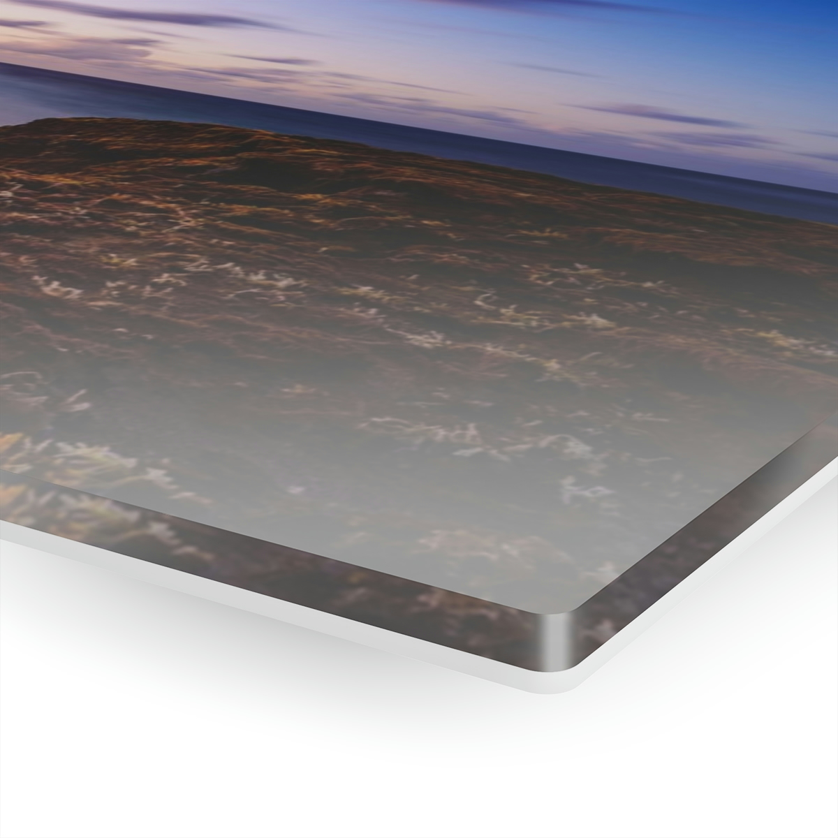 78312-27.jpg Coastal Charm: Sea Moss on Rocks and a Tranquil Matte Ocean Surface are Captured in this Breathtaking Acrylic Print