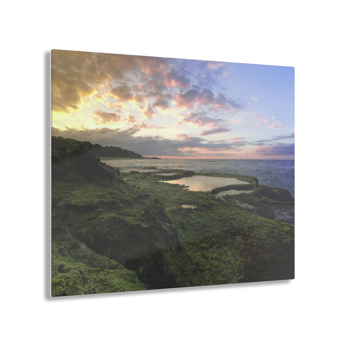 Mystical Ocean: A Captivating Acrylic Print of Moss on Rocks and a Sunset Shrouded in Sea Fog