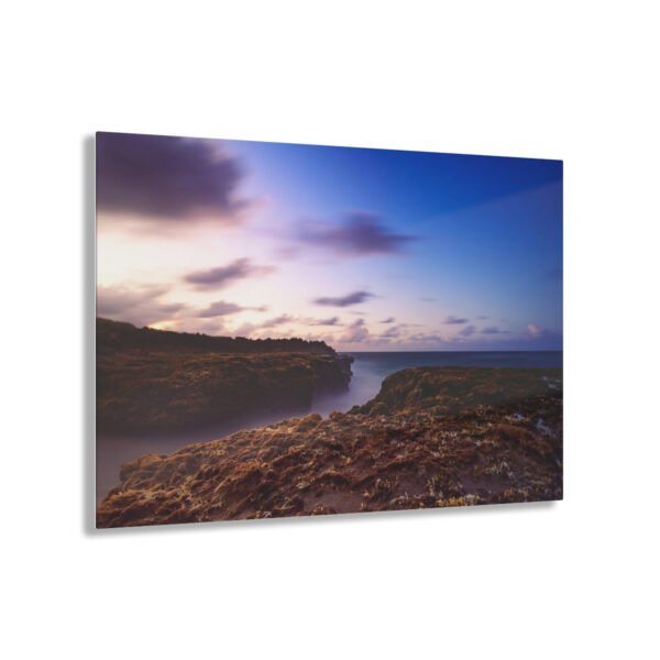 Coastal Charm: Sea Moss on Rocks and a Tranquil Matte Ocean Surface are Captured in this Breathtaking Acrylic Print