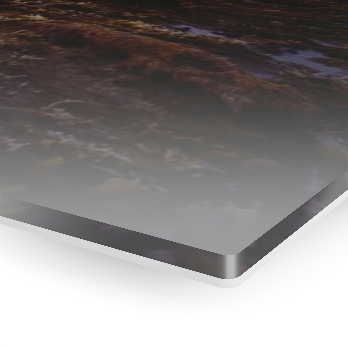 78315-27.jpg Coastal Charm: Sea Moss on Rocks and a Tranquil Matte Ocean Surface are Captured in this Breathtaking Acrylic Print