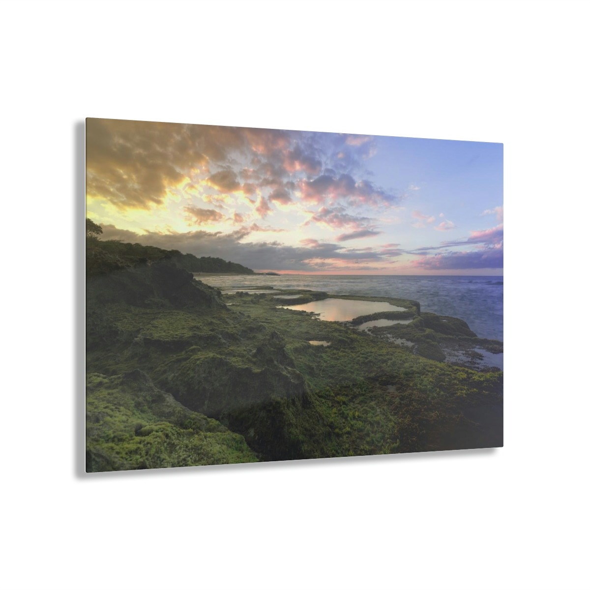 Mystical Ocean: A Captivating Acrylic Print of Moss on Rocks and a Sunset Shrouded in Sea Fog
