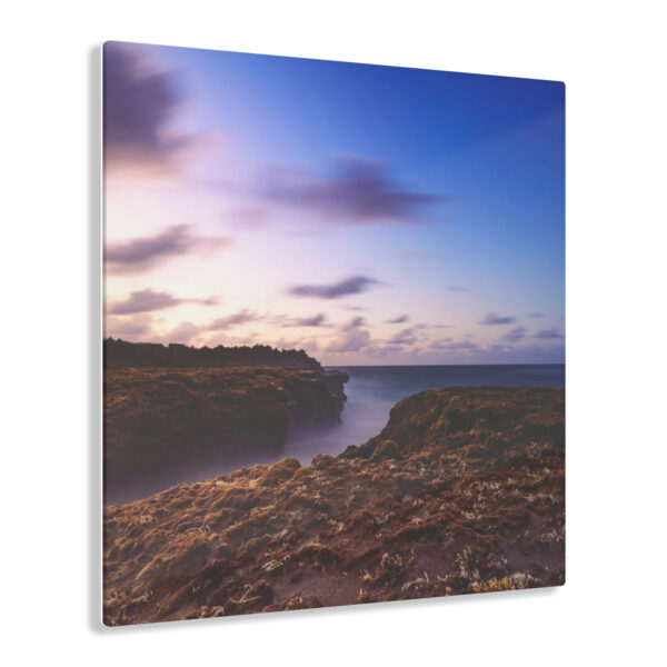 Coastal Charm: Sea Moss on Rocks and a Tranquil Matte Ocean Surface are Captured in this Breathtaking Acrylic Print