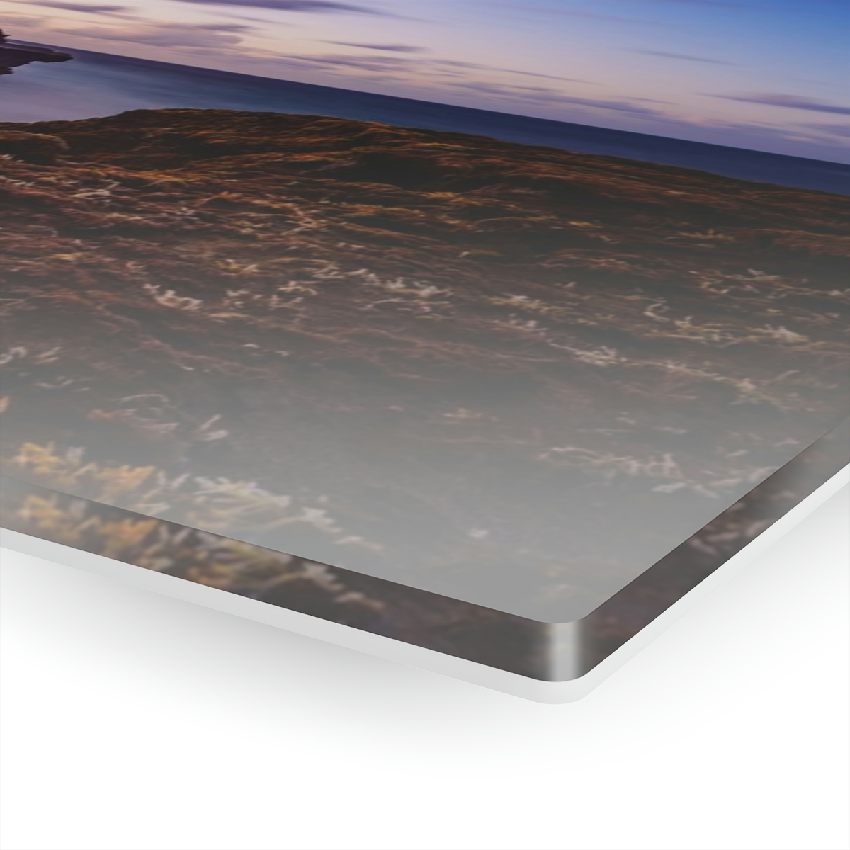 78316-27.jpg Coastal Charm: Sea Moss on Rocks and a Tranquil Matte Ocean Surface are Captured in this Breathtaking Acrylic Print