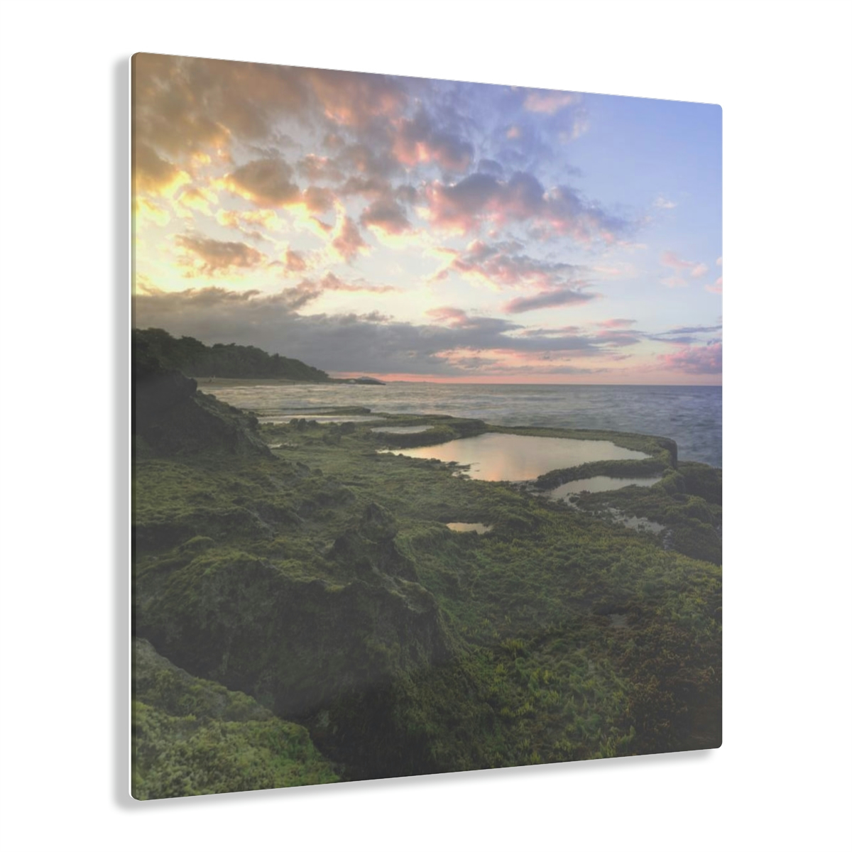 Mystical Ocean: A Captivating Acrylic Print of Moss on Rocks and a Sunset Shrouded in Sea Fog