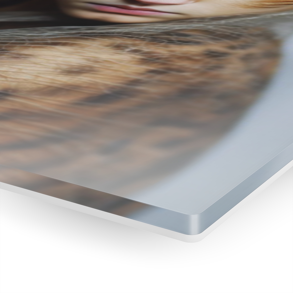 78305-40.jpg Feline Elegance: Woman-Cat Acrylic Print