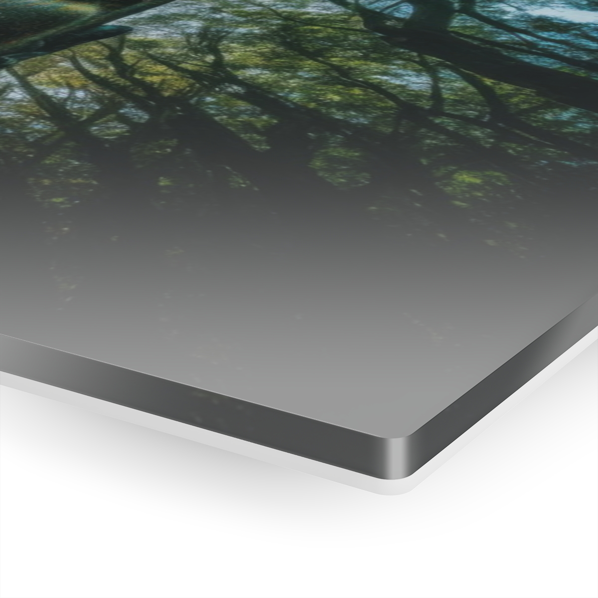 Living Forest Reverie: Nature's Abstract Symphony - Acrylic Print for Wall & Office Decor